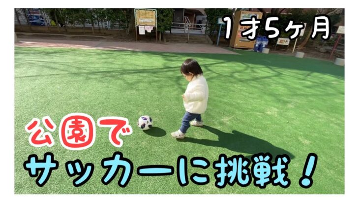 【1才5ヶ月】サッカー初挑戦！毎日公園で遊んでます！First challenge for soccer! I play in the park every day!