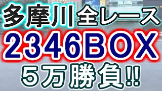 【競艇・ボートレース】多摩川全レース「2346BOX」5万勝負！！