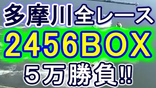 【競艇・ボートレース】多摩川で全レース「2456BOX」5万勝負！！