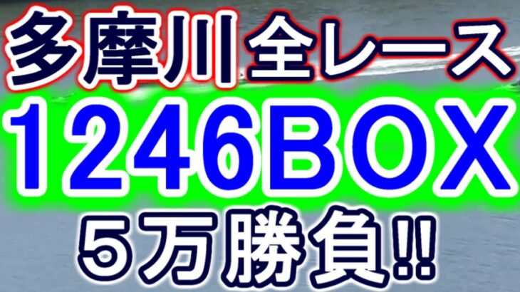 【競艇・ボートレース】多摩川で全レース「1246BOX」5万勝負！！