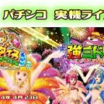 パチンコ ライブ【 海物語 フレンズ・ギンギラパラダイス 情熱カーニバル 強ミドル 】パーラー華ぱぱ 令和 4年 4月 LIVE ⑭・No.288