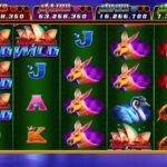 Wildkingdomz Casino Casino Slots gameplay 카지노 슬롯 게임  #wildkingdomz カジノスロットゲームプレイক্যাসিনো স্লট খেলা