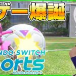 【神ゲー】新作”SwitchSports”のサッカーが熱戦で楽しすぎる件【SwitchSports】