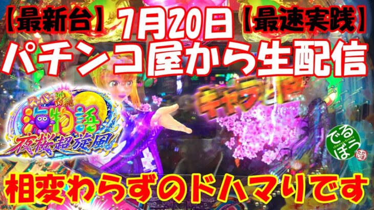 パチンコ屋さんから生配信　Pスーパー海物語in沖縄5 夜桜超旋風