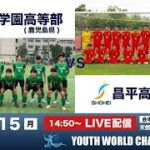 ユースワールドチャレンジ・プレ大会2022【神村学園 vs 昌平】